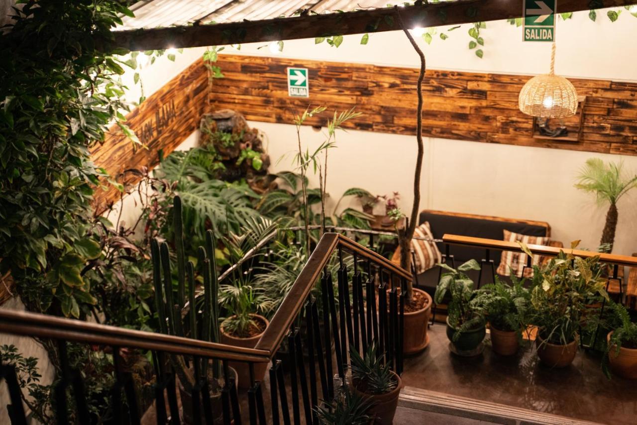 לימה Black Llama Hostel Miraflores מראה חיצוני תמונה