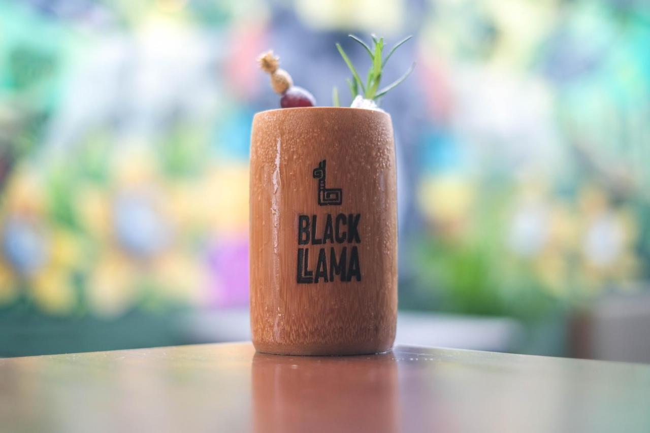לימה Black Llama Hostel Miraflores מראה חיצוני תמונה