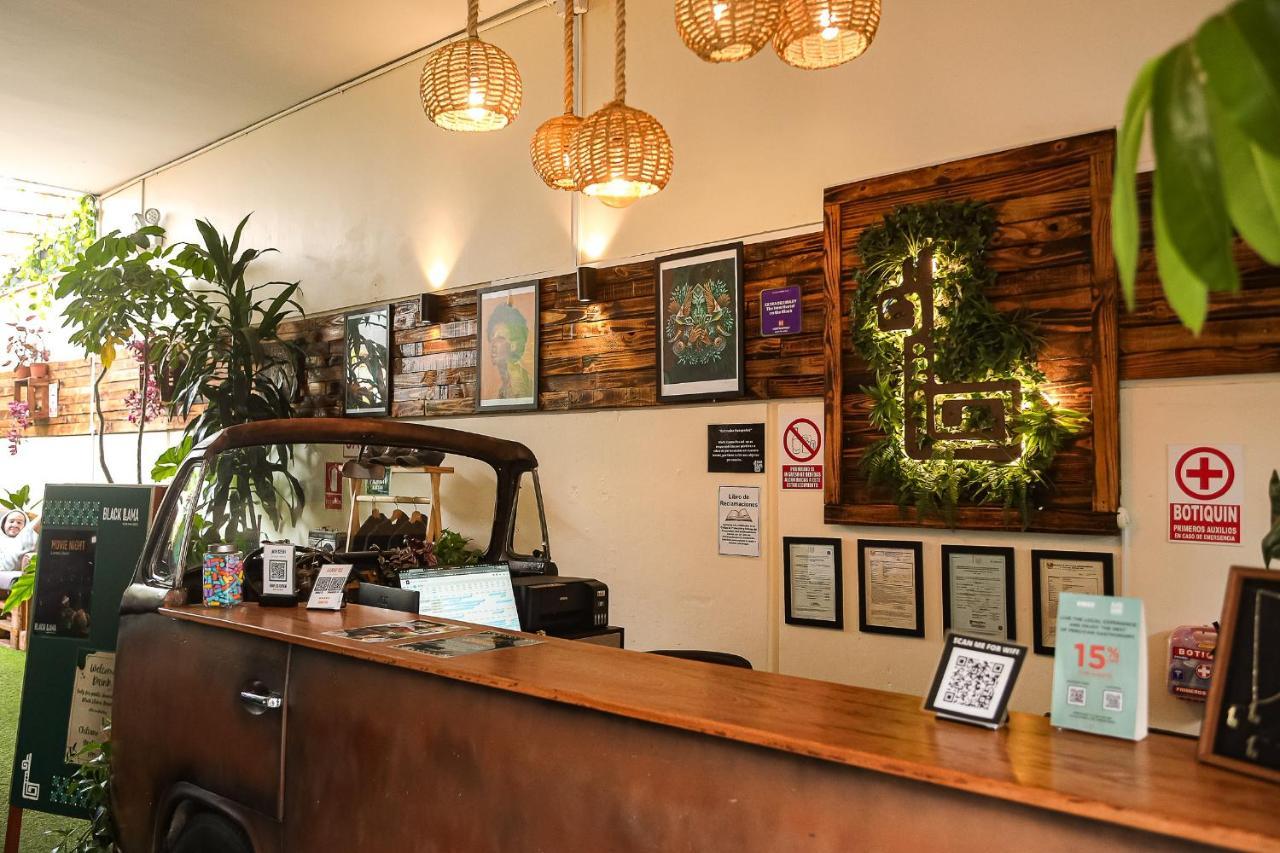 לימה Black Llama Hostel Miraflores מראה חיצוני תמונה